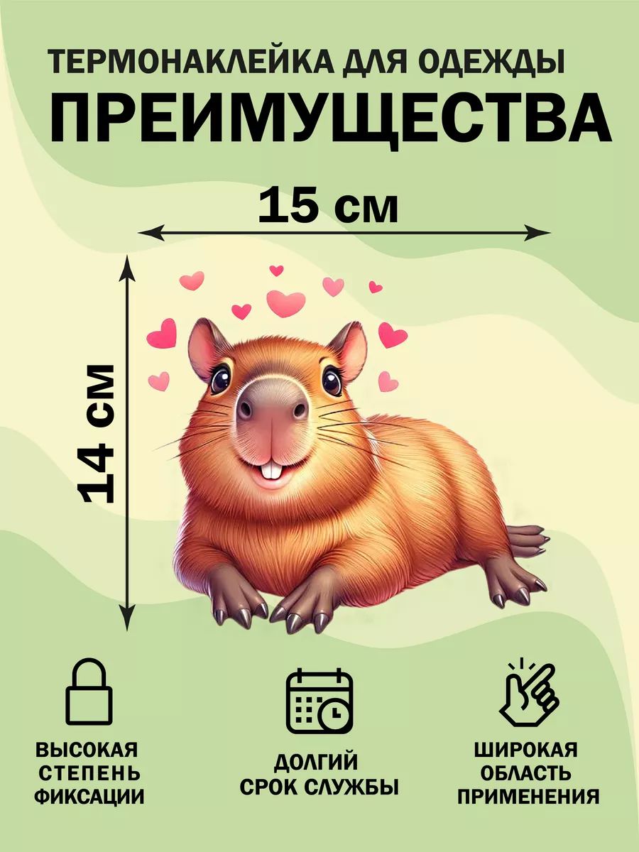 DTF термонаклейка на одежду "Капибара"